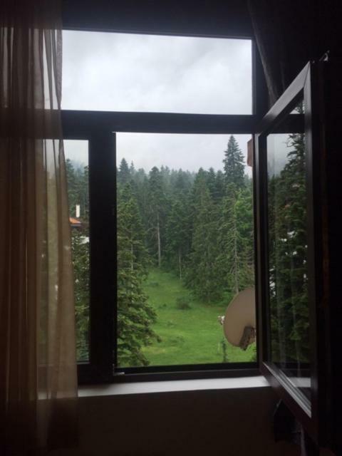 Viva Flora Apartment 607A Borovets Dış mekan fotoğraf