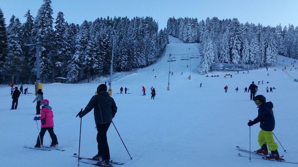 Viva Flora Apartment 607A Borovets Dış mekan fotoğraf