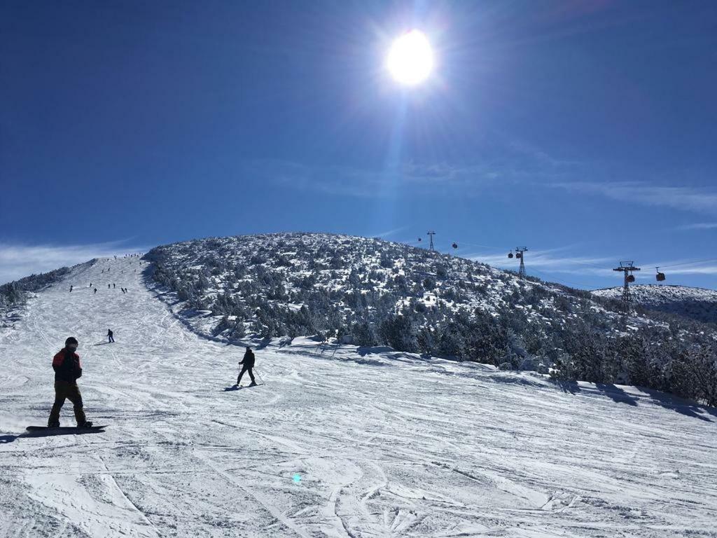Viva Flora Apartment 607A Borovets Dış mekan fotoğraf