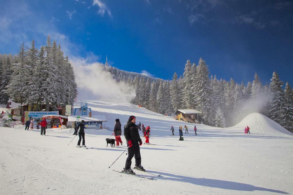 Viva Flora Apartment 607A Borovets Dış mekan fotoğraf