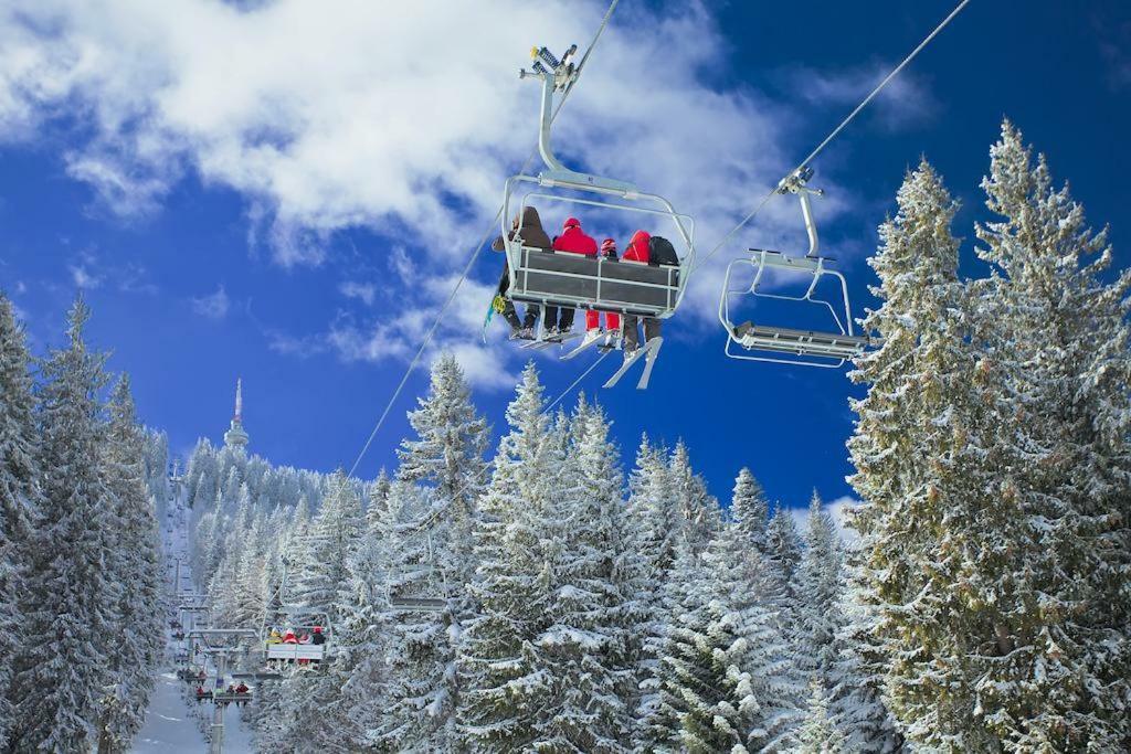 Viva Flora Apartment 607A Borovets Dış mekan fotoğraf
